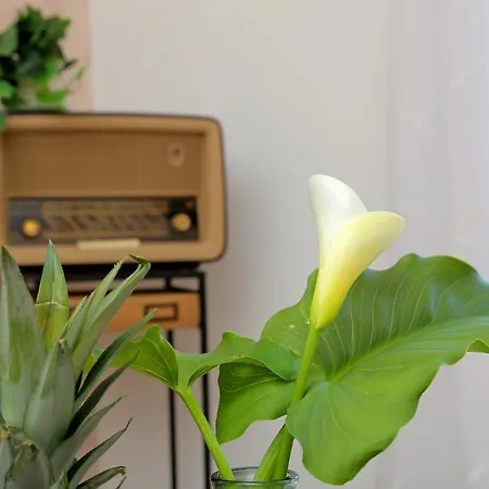 Blue Cliff Διαμέρισμα Ντουμπρόβνικ