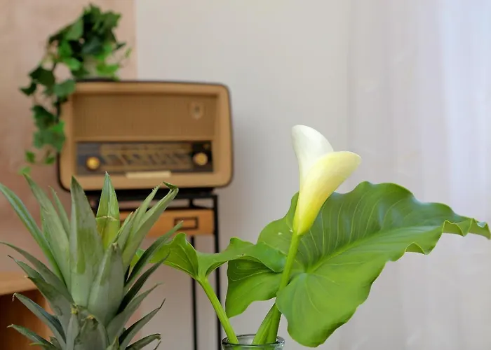 Blue Cliff דירה דוברובניק